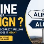 Aline Or Align: What Is the Correct Spelling And What Does It Mean?