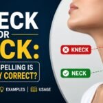 Kneck Or Neck: Which Spelling Is Actually Correct?