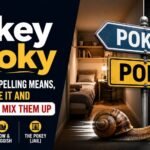 Pokey Or Poky: What Each Spelling Means, When To Use It And Why People Mix Them Up